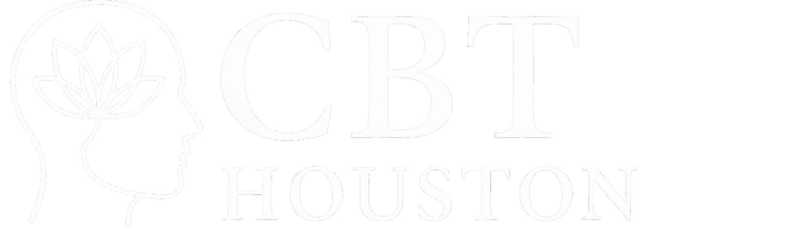cbt houston